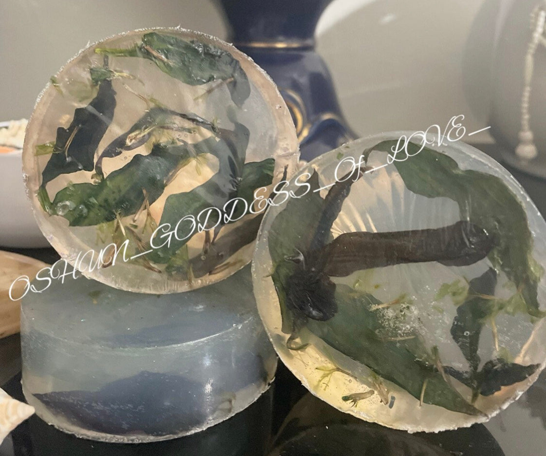 Yemaya's Cucaracha Soap